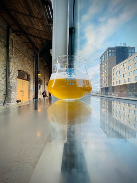 Hop harvest ale 2023 5.0%, Sakiškės Brewery / Sakiškių Alus, Lithuania