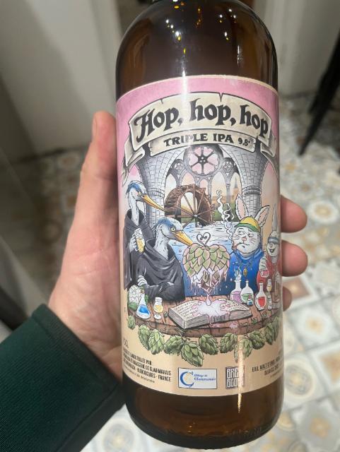 Hop hop hop 9.5%, Abbaye De Clairmarais, France