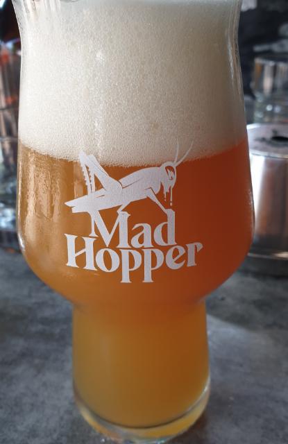 Hop Hunter Styrian Wolf 6.5%, Mad Hopper Brewing Co., Finland