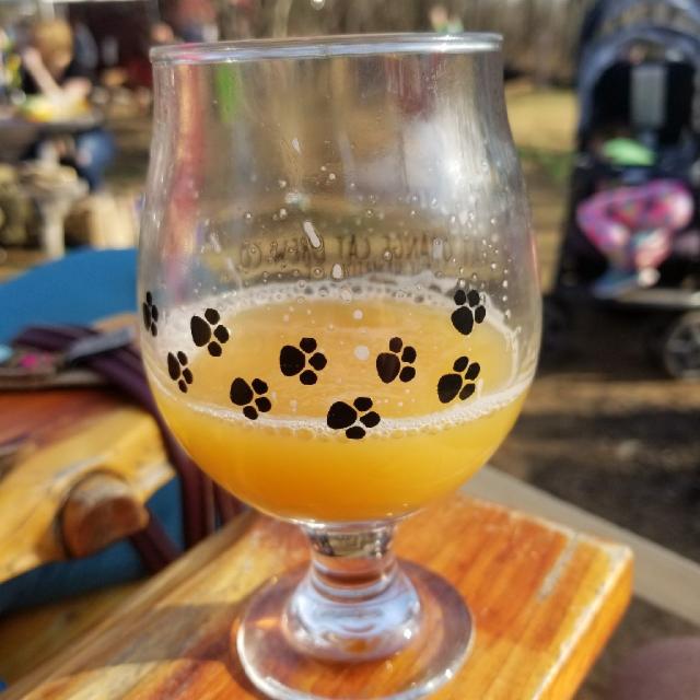 Hop Secret 8.0%, Fat Orange Cat Brew Co., United States