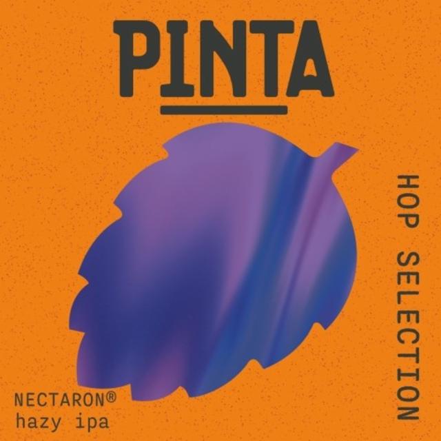Hop Selection: Nectaron Hazy IPA 6.5%, Browar PINTA, Poland