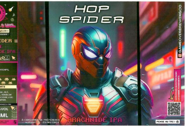 Hop Spider 6.1%, Game Over Brewing Co., France
