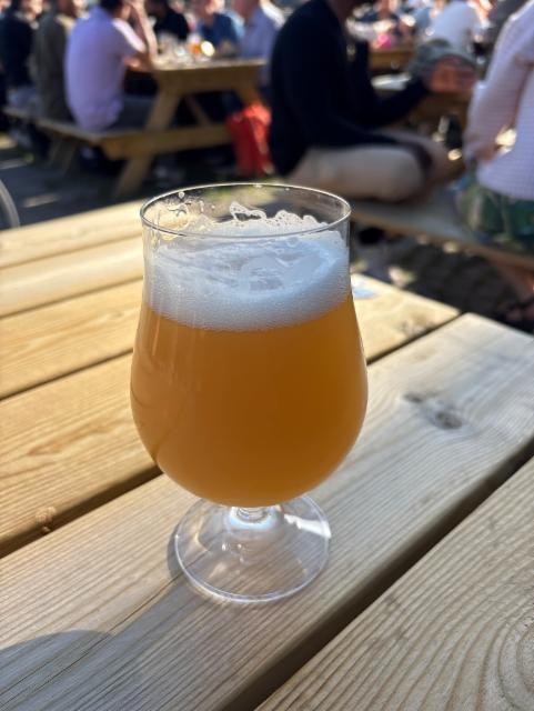 Hop study - HBC 1176, Stigbergets Bryggeri