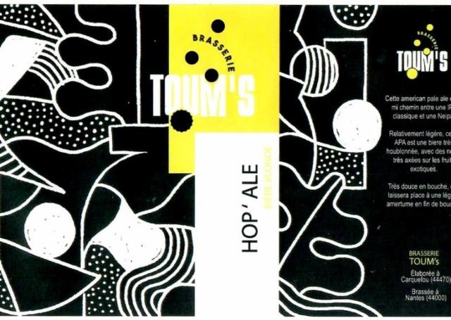 Hop'Ale 6.5%, Brasserie Toum's, France