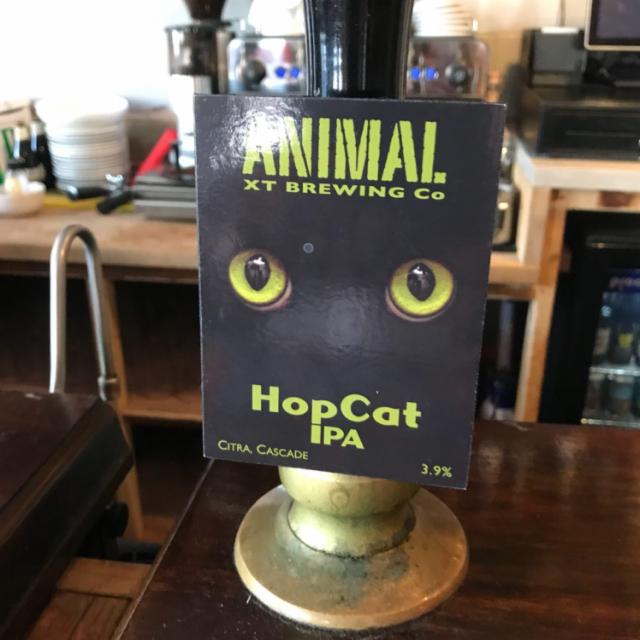 Hopcat IPA 3.7%, XT Brewing, England