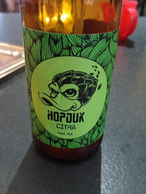 Hopduk Citra, Hopduk Brewery