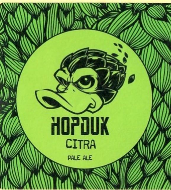 Hopduk Citra, Hopduk Brewery
