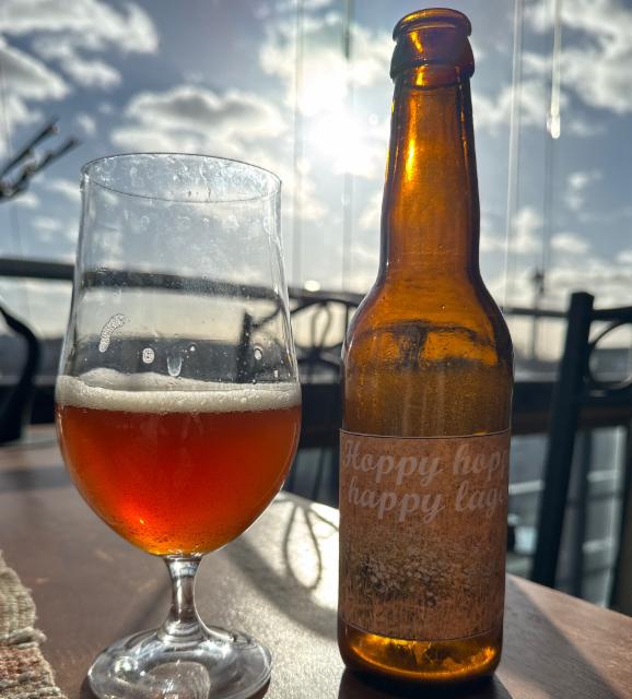 Hoppy Hoppy Happy Lager 6.5%, Saarikylien mikropanimo, Finland