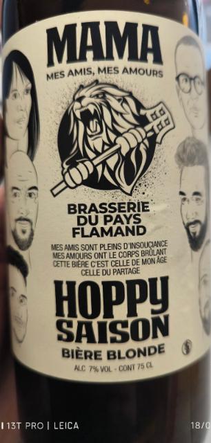 Hoppy Saison 7.0%, Brasserie Du Pays Flamand, France