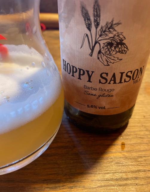 Hoppy saison vol4 5.6%, Microbrasserie Horla, France