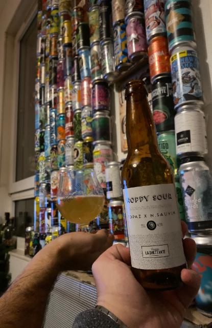 Hoppy Sour Topaz X Nelson Sauvin 4.5%, Brasserie La Dilettante, France