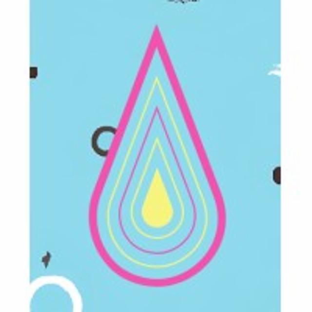 Hopswagen 4.4%, Anderson's Craft Beer, Estonia