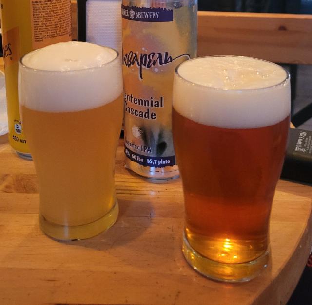 Hot dog party 6.5%, Raccoon brewing co, Kyrgyzstan