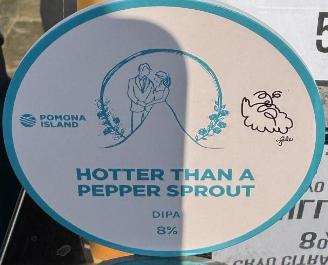 Hotter than a pepper sprout 8.0%, Pomona Island Brew Co, England