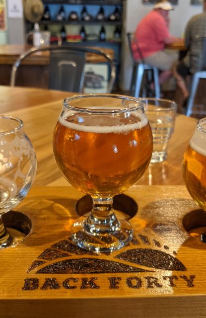 House Double IPA 9.5%, Back Forty Beer Company, United States