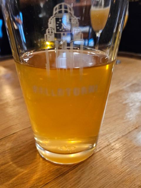 house sour 4.0%, Etko Brewing, Finland