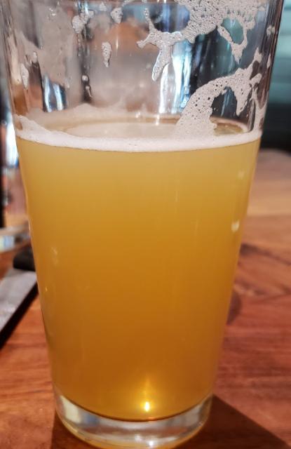 Huckleberry Haze 6.5%, Golden Road Brewing (AB InBev), United States