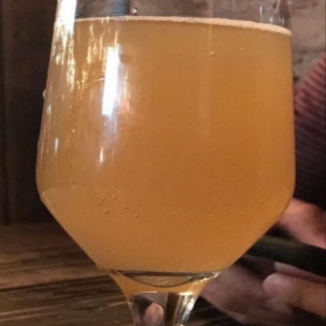 Thoughtlet IPA 5.0%, Hudson Valley Brewing Co., United States