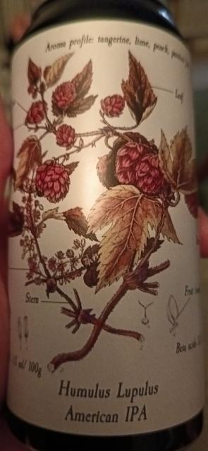 Humalaputki: American IPA, Panimo HIMO