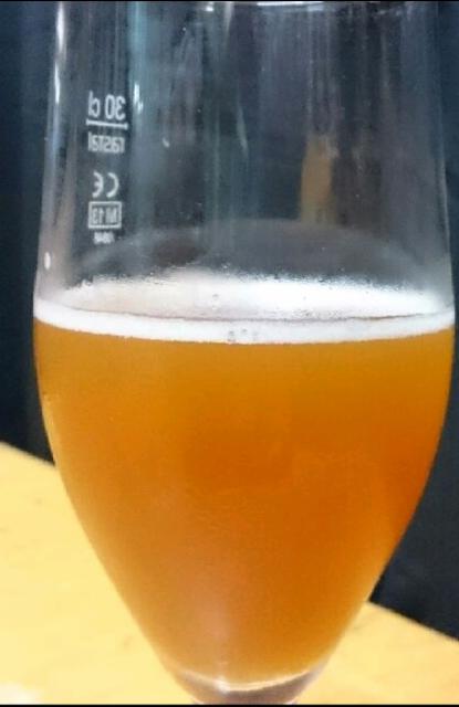 Ruispuolukka 5.5%, Humalove Brewing, Finland