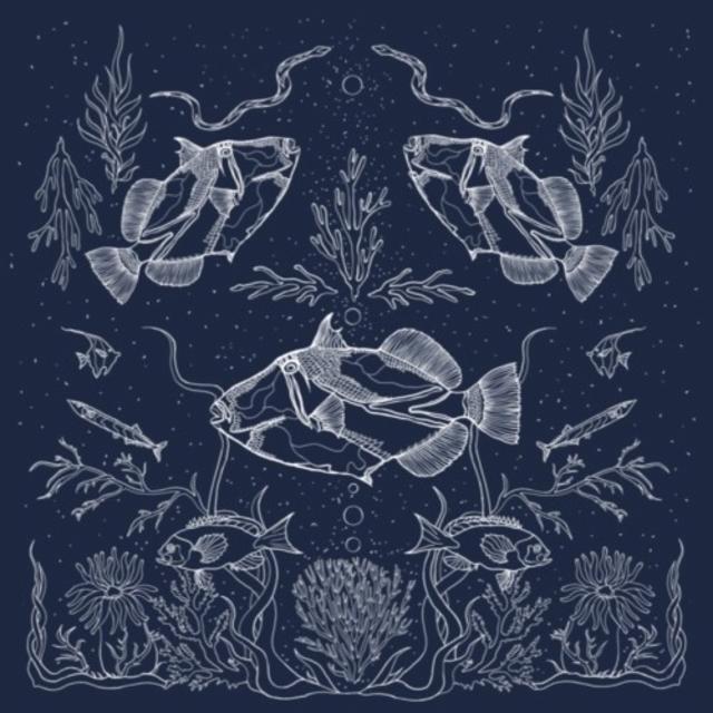 Humuhumunukunukuapua 6.0%, Zagovor Brewery, Russia