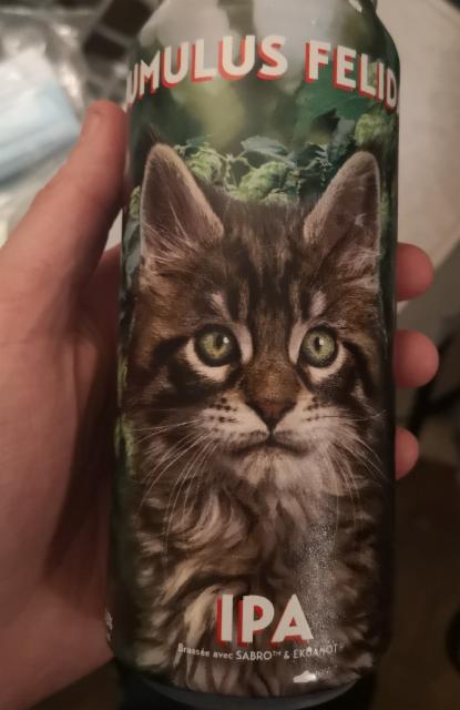 Humulus Felidad 6.5%, Noctem Artisans Brasseurs, Canada