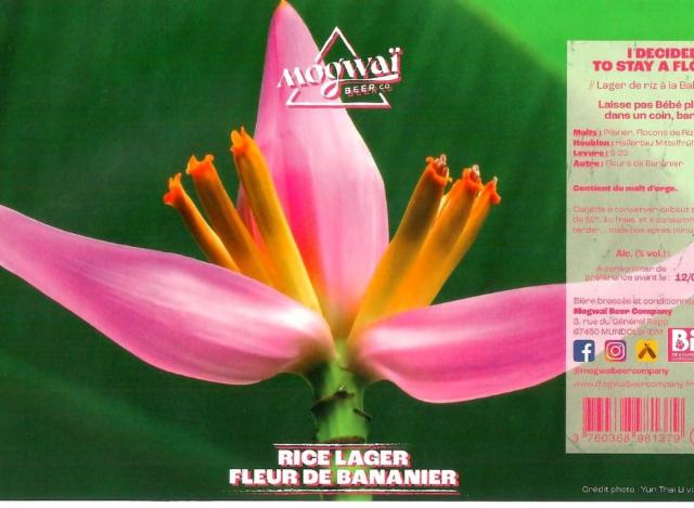 I Decided To Stay A Flower 4.8%, Mogwaï Beer Company, France