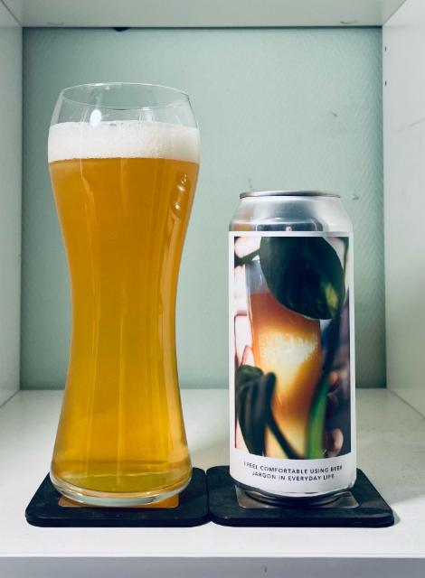 I feel comfortable using beer jargon in everyday life 6.5%, Evil Twin Brewing NYC, United States