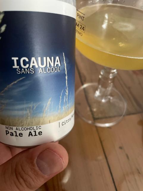Icauna 0.5%, Brasserie Popihn, France