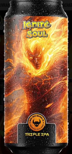 Ignite Soul 9.0%, Game Over Brewing Co., France