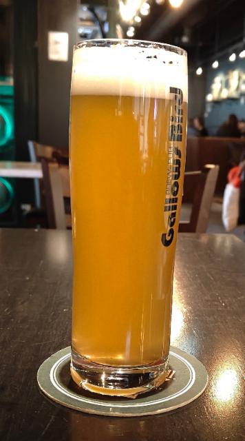 ilmestys 6.5%, Brew-Pub Gallows Bird, Finland