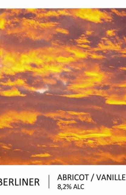 Imperial Berliner Abricot / Vanille 8.2%, Brasserie Popihn, France