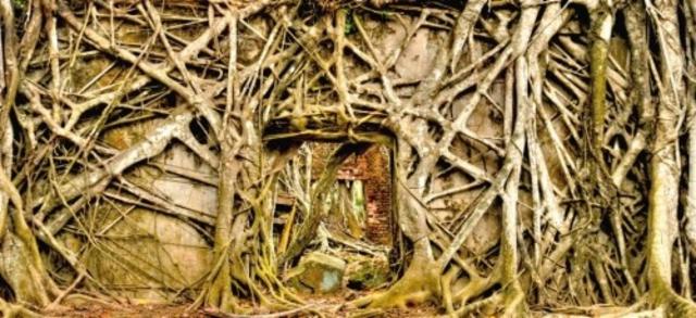 Imperial Stout Barrel Aged Blend 12.0%, Brasserie Popihn, France