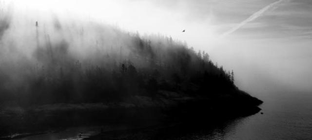 Imperial Stout Bourbon BA 24 Mois Tonka / Vanilla Beans 12.0%, Brasserie Popihn, France