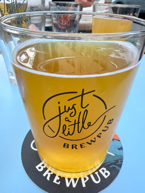 In Bruges 4.8%, Just A Little Brewpub, Switzerland