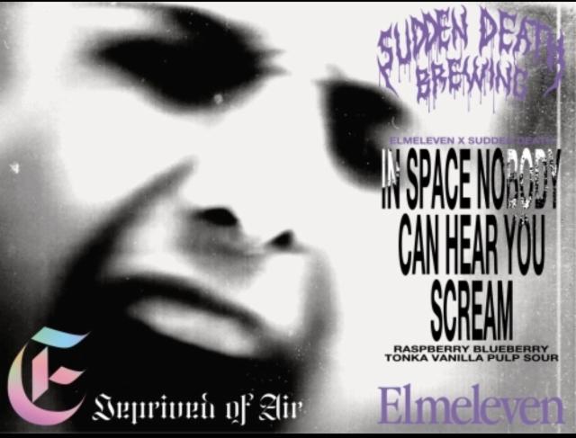 In Space Nobody Can Hear Your Scream, Elmeleven