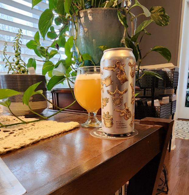 In The Fall Of Our Truth 7.5%, Burial Beer Company, United States