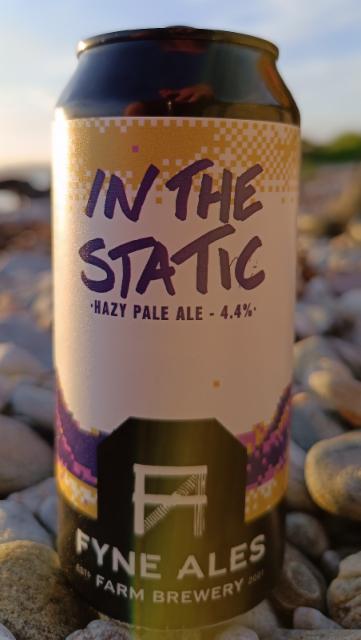 In The Static 4.4%, Fyne Ales, Scotland