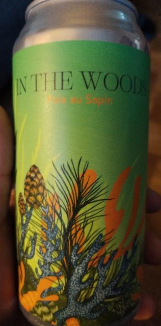 In the woods, Kauri Brewery