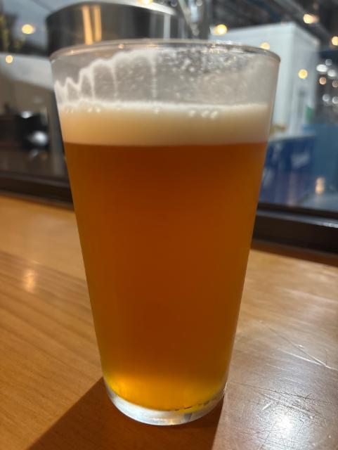 India, Cervecera Península