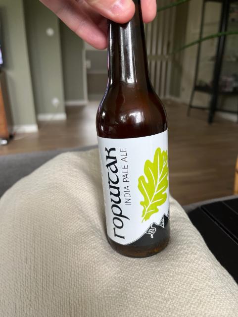 India Pale Ale 6.7%, Gorštak Craft Brewery, Bosnia and Herzegovina