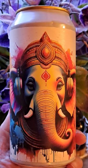 India Pale Ale 6.6%, Brygghus 19, Sweden