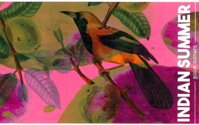 Indian Summer 4.5%, Brasserie Grizzly, France