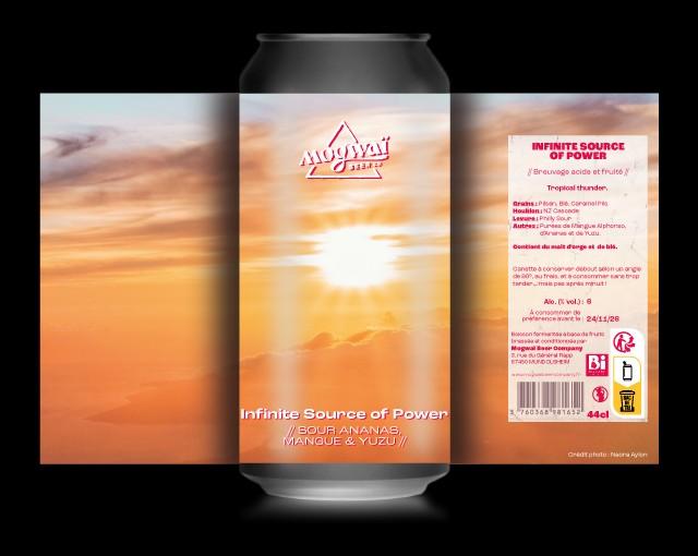 Infinite Source Of Power 6.0%, Mogwaï Beer Company, France