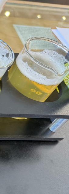 Inhabited form, Cerebral Brewing