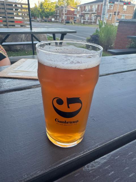 IPA Labrador, Gambrinus