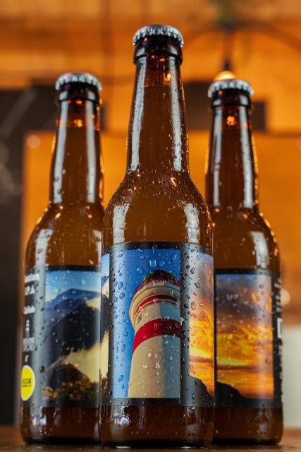 Session IPA 4,5 Fleur jaune 4.5%, Brasserie Dalons, France