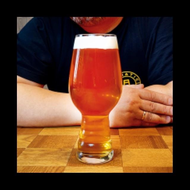 IPA VIBES Fanatic Belgian IPA 7.5%, Fanatic Brewing Center, Ukraine