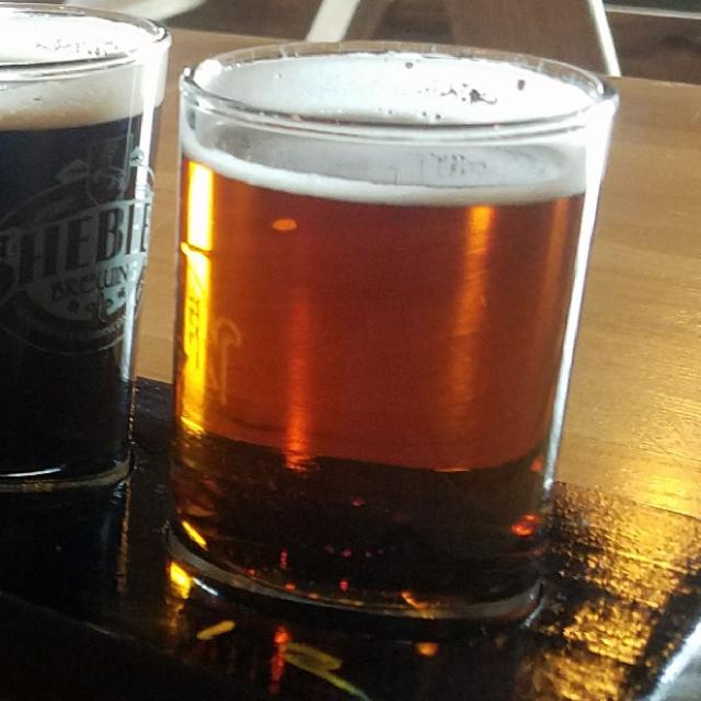 Irish Pale 4.9%, Shebeen Brewing Company, United States