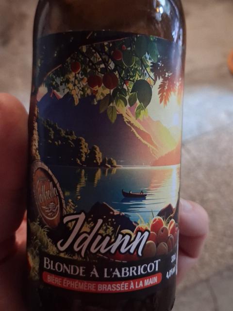 jdunn 4.8%, Brasserie Du Valhalla, France